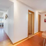 Charming Marina Apartment, Walk To Old Town #2001